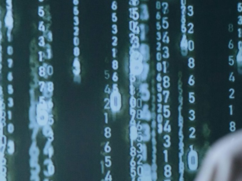 How AI Data Labeling Jobs Reduce AI Hallucinations